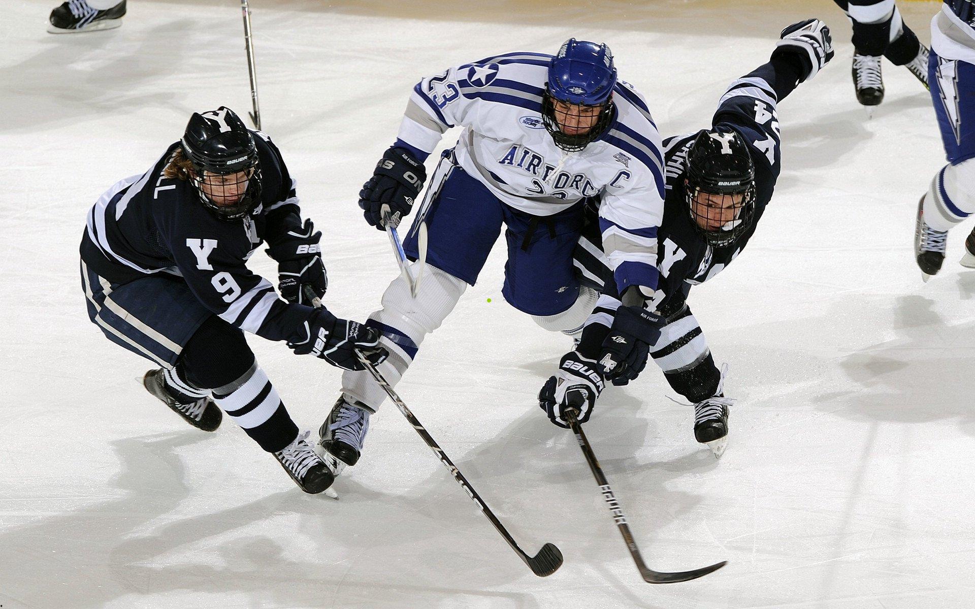 卡斯尔坦言团队信任成就进攻节奏 成关键战力助队挺进季后赛