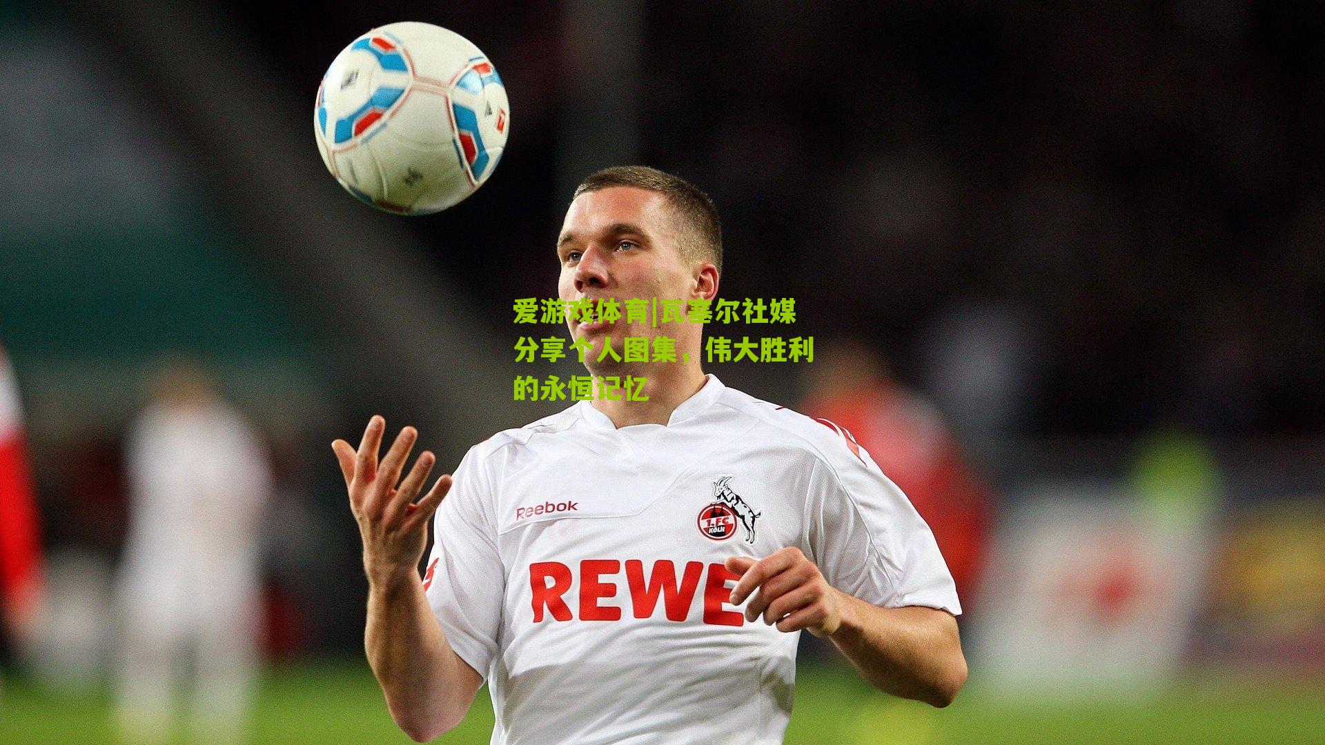 瓦塞尔社媒分享个人图集，伟大胜利的永恒记忆